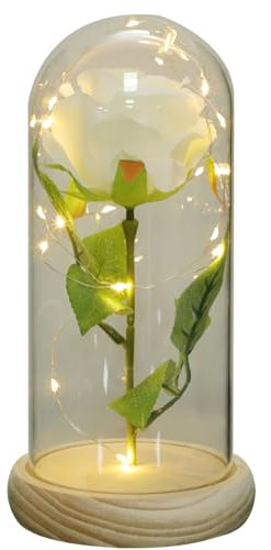 in Glass Dome, Light Artificial Rose Led Light Glass Rose Light up for Mother’s Valentines Day Anniversary, Yellow