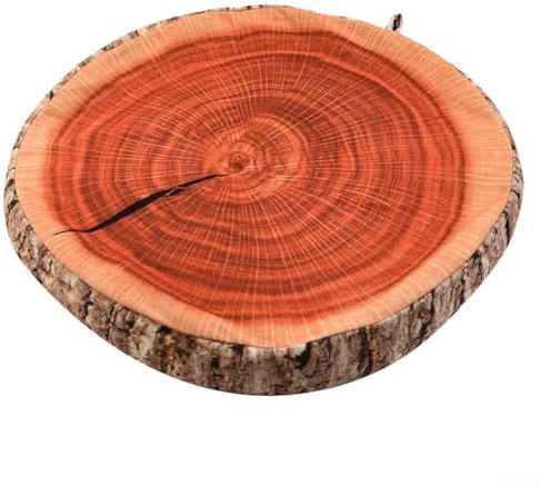 Zeroupshop Simulations-Frucht-Kissen, 40 cm, kreatives rundes Obstform-Sitzkissen, Sofa, Boden, Bürostuhl, Rückenkissen, Kissen für Zuhause, Sofa, Dekoration (Holz)