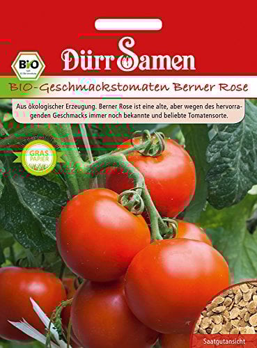 Bio Tomaten Samen Berner Rose Geschmackstomate Rote Tomate Tomatensamen ca 20 Korn Ertragreich Saatgut Garten Hochbeet Kübel Dürr Samen