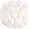 Jangostor 20 Pièces Coquillages de pétoncles Coquillages naturels, 6cm - 8cm Blanc Coquille de mer Petit Coquillage pour Mariage décoration Plage thème fête, réservoir de Poissons et Vase Remplissage