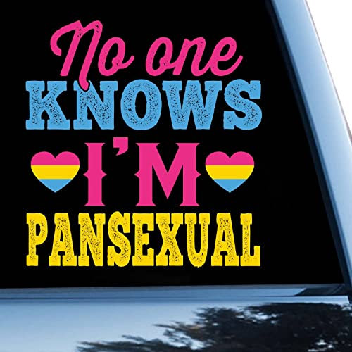Gay Pride LGBT Equality Lesbische Auto-Aufkleber Fensteraufkleber No One Knows I'm Pansexual Vinyl-Aufkleber für Autos, LKWs, Pansexuell, Bisexuell, LGBTQ Autoaufkleber, 38,1 cm