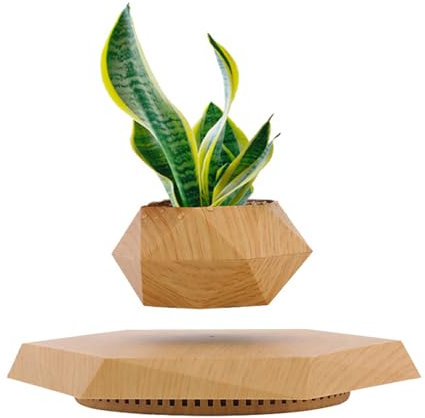 Pot de fleurs flottant en lévitation pour plantes succulentes - Base en bois - Décoration de bureau et d'intérieur