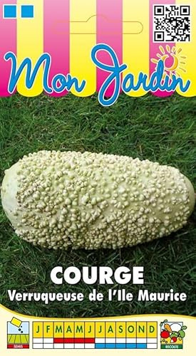 Sachet de graines de Courge Verruqueuse de l'Ile Maurice - 3 g - légume décoratif - LES GRAINES BOCQUET