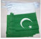 AZ FLAG Guirnalda 6 Metros, 20 Banderas de Pakistán 21x15 cm, Bandera Pakistaní 15 x 21 cm - Banderines
