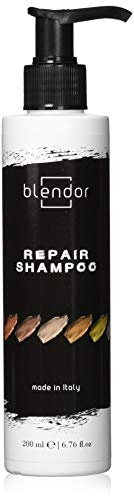 Blendor - Repair-Shampoo für geschädigtes, trockenes, gefärbtes und behandeltes Haar, 200 ml