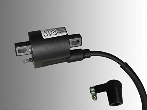 Zündspule Quad 50-100 ccm CPI Ersatzteil für/kompatibel mit Crab Aeon Cobra Revo mit Spezial Zündkerzenstecker