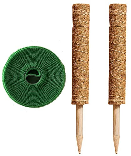 ＣＨＡＭＥＥＮ Rankhilfe Zimmerpflanzen Set Kokosstab für Pflanzen Pflanzenhalter Pflanzenbider Moosstab Pflanzstab Rankstab für Monstera Kletterpflanzen Blumentopf