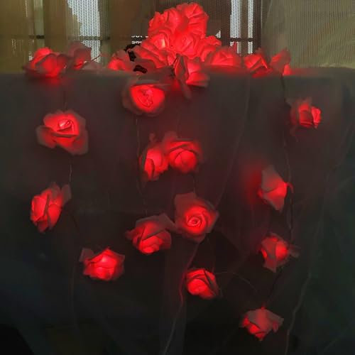 Riaxuebiy 9.8ft White Rose Decorative String Fairy Lights Clear Cable Battery Powered 20 Red LEDs Rose Flower Light for Valentine's Day Wedding Bedroom Girls Mother's Day Decoartion