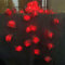 Riaxuebiy 9.8ft White Rose Decorative String Fairy Lights Clear Cable Battery Powered 20 Red LEDs Rose Flower Light for Valentine's Day Wedding Bedroom Girls Mother's Day Decoartion