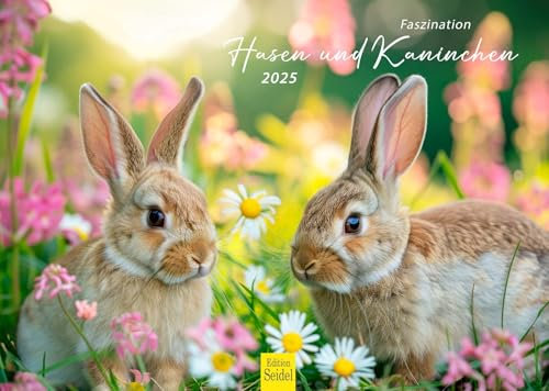 Edition Seidel Premium Kalender Faszination Hasen und Kaninchen 2025 Format DIN A3 Wandkalender Tierkalender Wildtiere Waldtiere Haustiere Tier Kinder