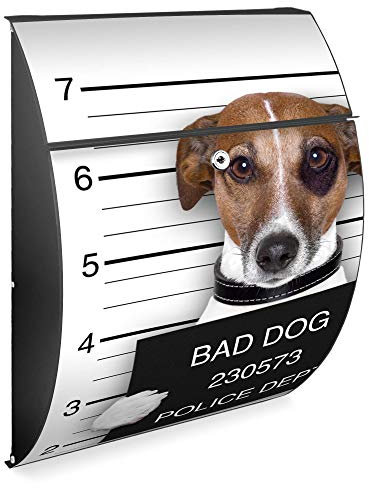 Burg Wächter Design Briefkasten | Modell Riviera 46x33,5x13cm groß | verzinkter Stahl Anthrazit | Postkasten Öffnungsstopp, großer A4 Einwurf, Zylinderschloss, 2 Schlüssel | Motiv Bad Dog Jack Russel
