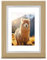 Hama - Marco de fotos (plástico, 20 x 30 cm), color lila