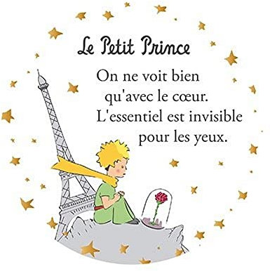 KIUB Decorative Magnet The Little Prince, Rose and Eiffel Tower (55mm)
