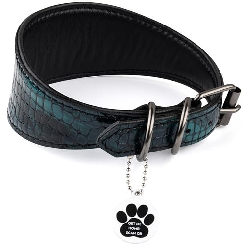 FAVPET Luxus Echtleder Windhund Halsband Breit mit QR Code Anhänger, Weiches Lederhalsband Hund Breit Whippet Italienisches Windspiel Saluki Lurcher Spanischer Galgo Greyhound Podenco (Grün, XS)