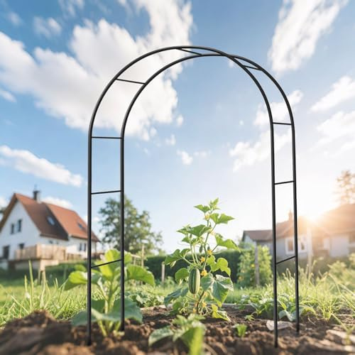 Arco da giardino rustico in metallo resistente alla ruggine, traliccio per piante rampicanti, supporto per rose, pergola, decorazioni per matrimoni ed eventi, 260 x 250 cm, paesaggio esterno