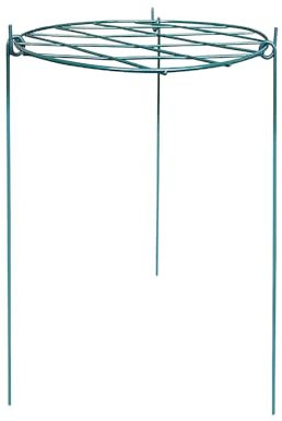My Garden Metal Plant Support 70CM – Freestanding Garden Plant Cage & Support Stakes for Climbing Flowers, Roses, Peonies, Tomatoes & Vegetables