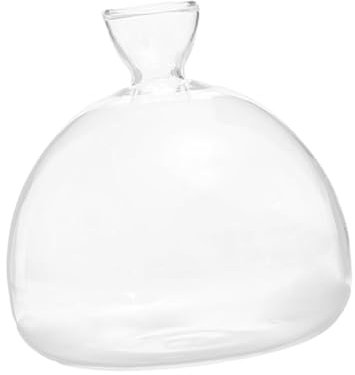 Pleayietoopiatiey Avocado Seed Starter Vase Avocado Flasche für Anzuchtset für Geburtstag Familien