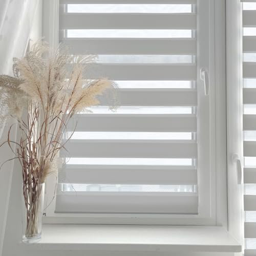Home-Vision® DuoRollo Klemmfix, Doppelrollo ohne Bohren mit Klämmträgern, DuoRollos für Fenster und Türen (Grau, B50cm x H150cm)
