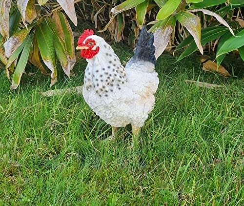 Fachhandel Plus Dekofigur Henne Huhn Eva lebensechte Gartenfigur Tierfigur Gartendeko stehend