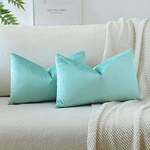 JOTOM Samt Kissenbezug Kissenhülle Sofakissen Dekokissen Kissenbezüge für Sofa Wohnzimmer Schlafzimmer 2er Set 30x50 cm Hellblau