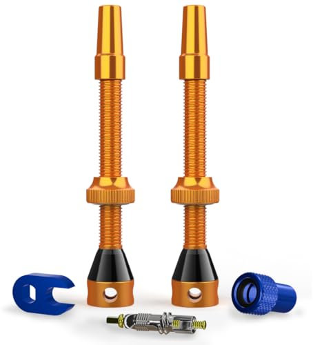 Shredr. Tubeless Ventile Set | Presta Ventile für Schlauchlos-Reifen | Superleichtes Alu, bunt eloxiert, französisches Ventil | inkl. Ventil-Adapter, Ersatz-Ventil und Werkzeug. (orange, 60mm)