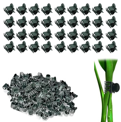 YUNYU 100 Stück Pflanzenclips – kleine dunkelgrüne Kunststoff-Stützklammern zur Sicherung von Gemüse, Orchideen, Reben und Blumen in Gärten oder Gewächshäusern