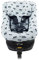 JYOKO Kids Bezug kompatibel mit Joie Spin 360, Nuna Rebl, aus Baumwolle (Raccoon)