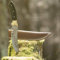 elToro Brass Horn - Damast - Jagdmesser - 17cm - inkl. Lederscheide; Messer für Camping, Outdoor, Survival