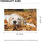 Lazy Dog Puppy Flagge, 6 x 90 cm, Polyester, doppelseitig, Gartenflaggen, langlebig, Willkommensflaggen, Banner, Outdoor-Dekoration für Hof, Veranda, Rasen
