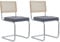 Uderkiny Esszimmerstühle 2er Set, Rattan Stuhl, Gepolsterte Rattan-Küchenstühle, Plattiertem Bügel und Samtkissen, Geeignet für Esszimmer/Büro/Küche/Schlafzimmer(Grau,2)