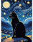 HEIBAGO Animaux Peinture par Numero Adulte, Ciel Étoilé Kits de Peinture, Chat Kit de Peinture à l'huile pour Débutants, Peintures Acryliques pour la Décoration de la Maison,30X40cm