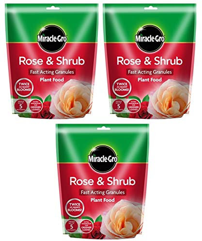 3 Miracle-Gro Rose & Shrub Plant Food Granules Extra Magnesium & Nutrients 750g