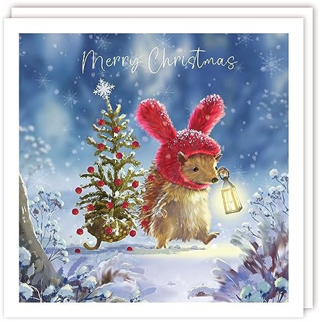 Tracks Publishing Weihnachtskarten, Motiv: Igel und Weihnachtsbaum, umweltfreundlich und recycelbar, 10 Stück