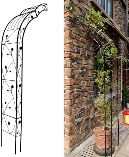 Rosenbogen Gartenbogen aus Metall Stabil Torbogen Rankhilfe Spalier für Kletterpflanzen, Wandmontage, Eisen, Halbbogen für Rasen Patio Hinterhof, 75x39x250cm