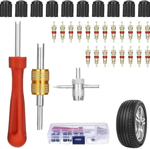 Kit d'outils pour enlever la tige de valve de pneu, kit de réparation de valve de pneu, extracteur de noyau de valve à tête unique, outil de retrait multifonction, kit en métal, outil d'agrafage pour