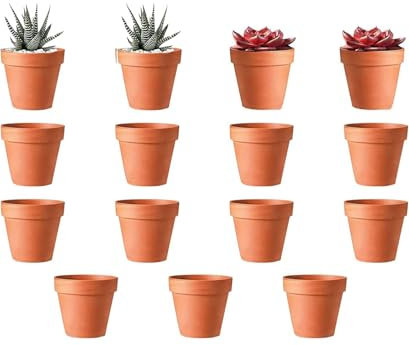 ACTIUSIS Lot de 15 Mini Pots de Fleurs, en Terre Cuite, avec Trou de Drainage, 5,5 x 5 cm, pour Cactus, Plantes Grasses, Plantes d'intérieur