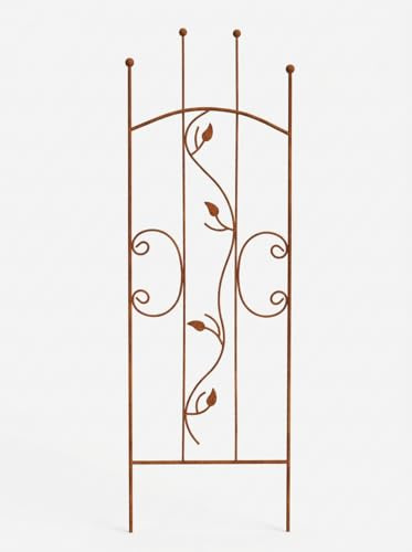 Kapaga - Staudenhalter Rost 150 cm - Blumenhalter - Rankengewächs | Pflanzenstütze - Blumenstütze - Staudenstütze - Rankhilfe Strauchhalter - Rosenstütze