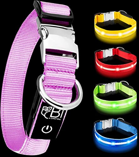 Leuchthalsband für Hunde [Das Original] Leuchtendes LED Hundehalsband zum spazieren gehen auch im Dunkeln- sehr Lange Akkulaufzeit – Sicher Dank hochwertigem Metallverschluss (XS (24-35 cm), Pink)