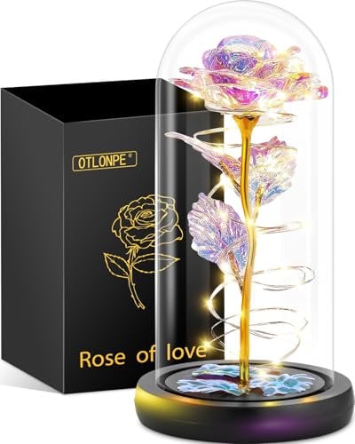 Otlonpe Blumen Muttertagsgeschenk für Mama Geschenke für Frauen, Geburtstagsgeschenk für Frauen Mama Freundin Oma, Ewige Rose im Glas Frau Geschenke für Muttertag Valentinstag Jahrestag