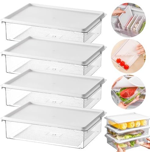 4 Piezas Porta Embutidos y Alimento Fresh, Recipiente de Almacenamiento de Carne, 20 x 14 x 4 cm Caja de Almacenamiento Frigorífico con Tapa, Libre de BPA, Cajas de Almacenamiento para Carne, Fruta