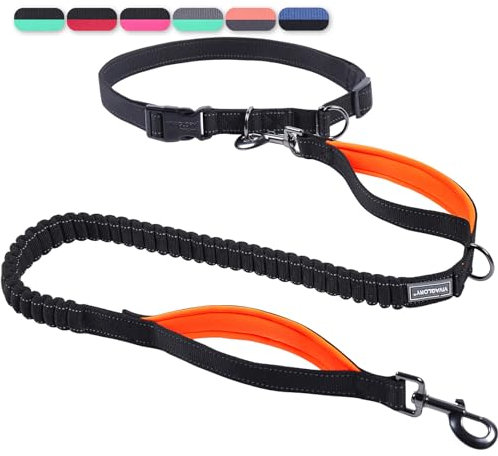 VIVAGLORY Joggingleine Hunde Bungeeone Hundeleine Joggen, Laufleine mit Schlaufe & Gepolstertem Griff für Hausleine Joggingleine, Bungee & Gummizug für Hunde, S, Schwarz/Orange