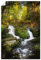 ARTLAND Wanddeko Poster & Kunstdrucke Wandposter 80x120 cm Hochformat Natur Wald Bäume Farn Moos Bach Wasserfall Harz U4PG