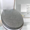 Glitter Resin Toilet Seat, Round Toilet Seat Soft Close, Easy to Install and Remove, for Standard Toilets(Four Colors Available)/Silver