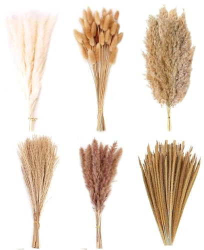 123 PCS Decorazione di Erba di Pampas Essiccata, Fiori Secchi Decorativi per Vaso, Fiori Essiccati di Bunny Tails, Erba di Pampa Essiccata Naturale per Matrimoni, Feste, Decorazioni Boho