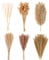 123 PCS Décoration en Pampas Séchées, Herbe de la Pampa Brun, Fleurs Séchées de Queues de Lapin, Bouquet de Roseaux pour Les Fleurs Boho de Mariage, Décoration de Table à la Maison, la Fête Rustique