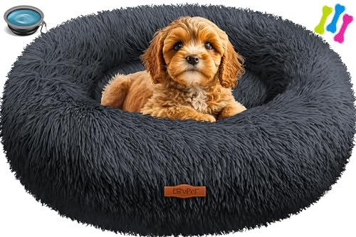 Lovpet® Hundebett Hundekissen Katzenbett Bagel, Waschbar, Inkl. Napf + 3X Kauknochen, Hundesofa flauschig Kissen Rund aus Plüsch für Kleine, Mittelgroße & Große Hunde, Katzen [M, Ø 50cm Anthrazit]