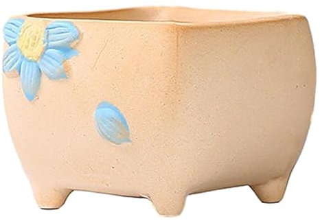 NANZU Dia 6cm Engraved Peach Flower Ceramic Plant Floral Pots Indoor Outdoor For Flower Cactus Succulent Plant Floral Pot 6X7X8CM