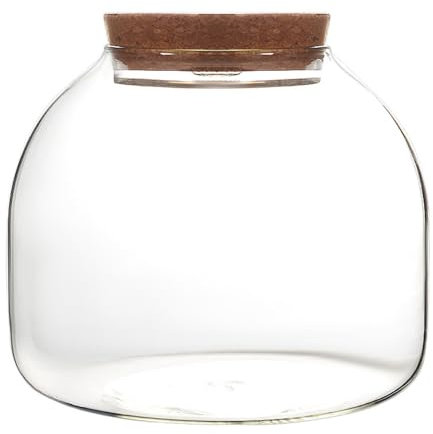 Terrario in vetro per piante, terrario per piante da 1600 ml con coperchio in sughero, grande vaso di vetro con apertura per mini piante grasse edifici paesaggistici, display floreali
