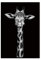 Bilder Auf Leinwand,Schwarze Und Weiße Tier Giraffe, Mode Dekor Leinwand Gemälde Kunstdruck Poster Bild Wand Schlafzimmer Wohnzimmer Dekoration Malerei Wandbild, 70 X 100 cm