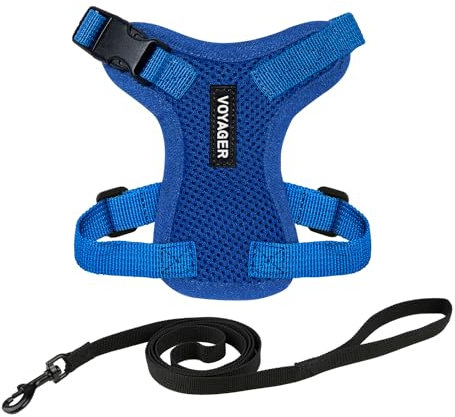 Voyager Step-in Lock Katzengeschirr und reflektierende Katzenleine mit Neoprengriff by Best Pet Supplies - Unterstützt kleine, mittelgroße und große Katzenrassen, Königsblau, size XXS - 1,5 m